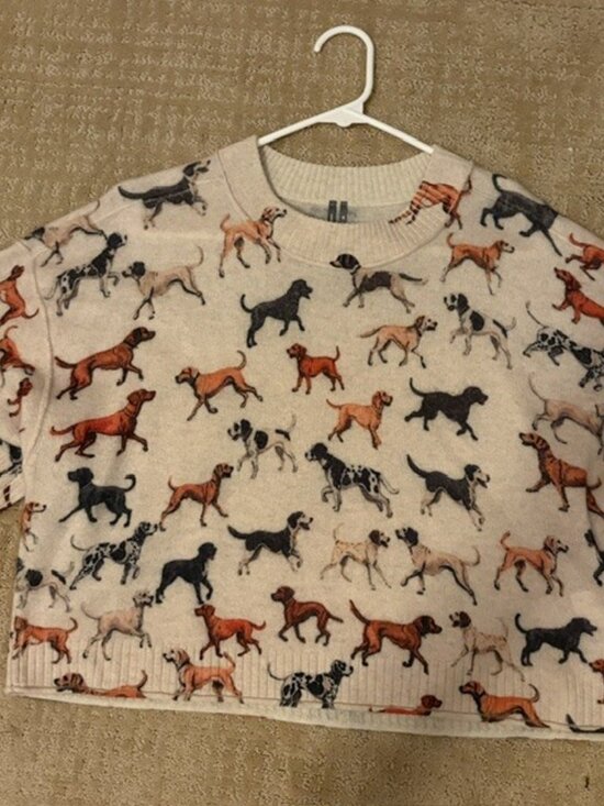 Anthropologie Sweaters - By Anthropologie Goldie Crew-Neck 100% Cashmere Sweater--Dogs--XS